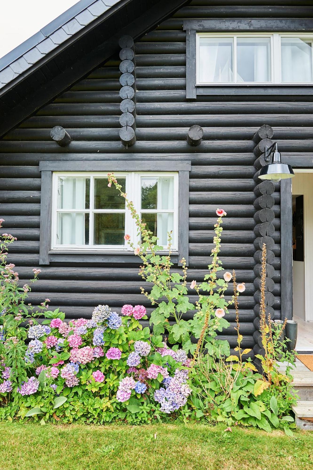 Haus Zweineun Brodersby-Goltoft Exterior foto